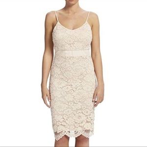 Forever Unique sexy Bodycon Lace Dress Women Size 4 new